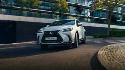 Объявленные сроки начала продаж Lexus NX 2021 в России