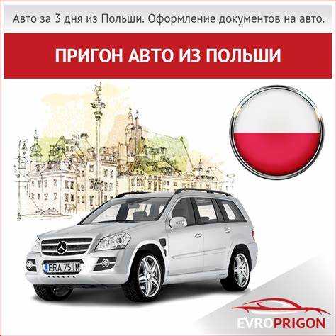 Влияние местных налогов и сборов на цену автомобиля