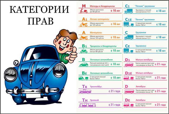 Как возраст влияет на возможность обучения в автошколе категории D