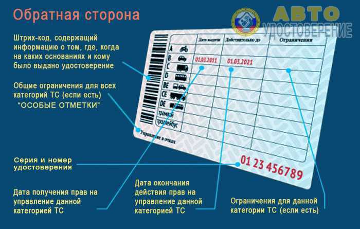 Возраст и стаж: какие условия нужно выполнить одновременно