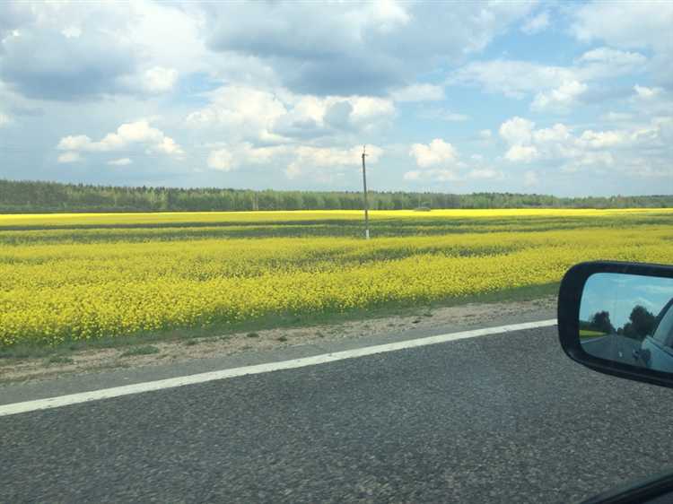 Исторические города Брянской области для короткой остановки