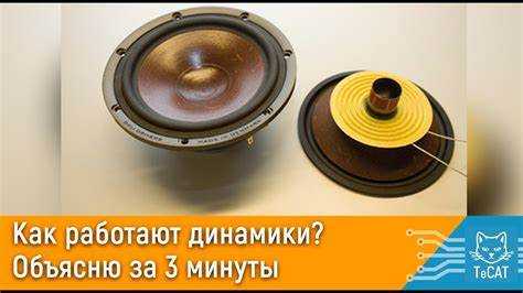 Фиксация и шумоизоляция при установке больших динамиков