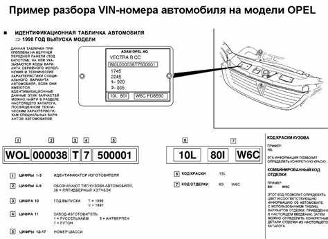 Как распознать подлинный VIN и отличить его от подделки