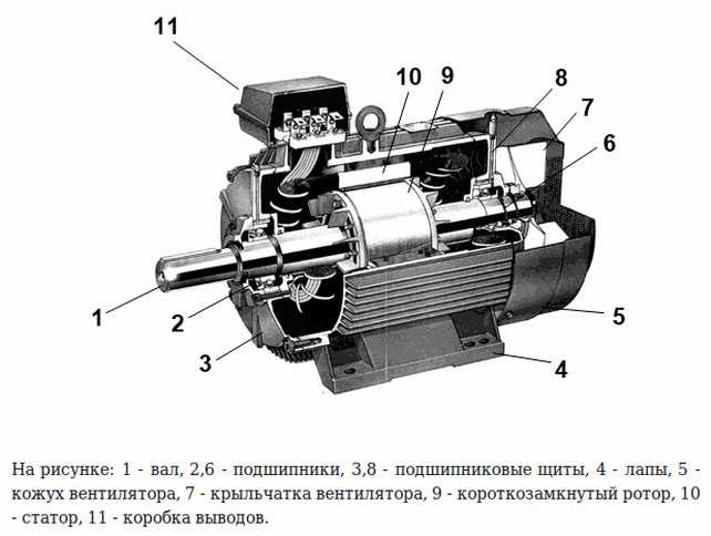 Как узнать сколько полюсов у асинхронного двигателя
