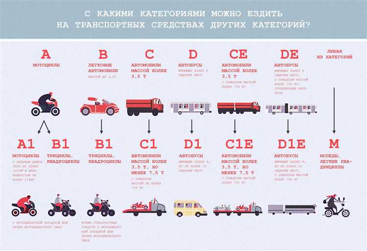 Какая категория нужна на соболь