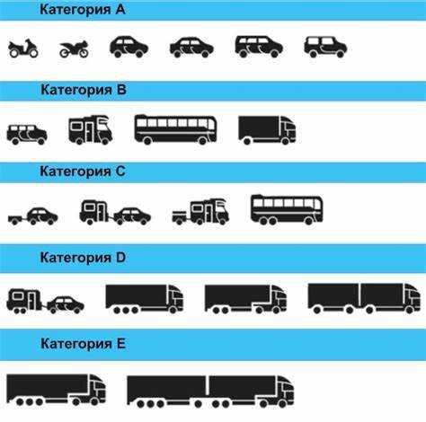 Какие бывают типы транспортного средства