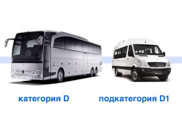 Как проходит обучение и экзамен на категорию D1E