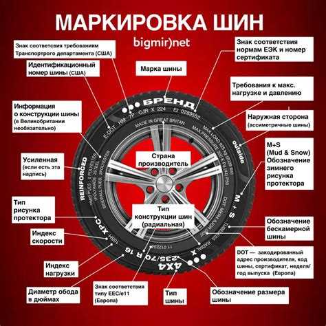 Где расположена евроэтикетка и как ее найти при покупке