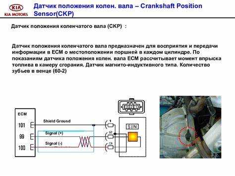 Как найти датчик коленвала в моторном отсеке Форд Транзит 2 2