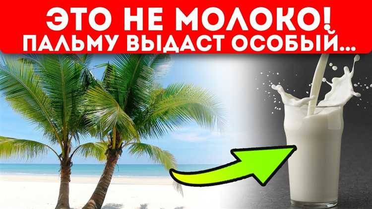 Как правильно проверить пробку масляного фильтра на наличие воды