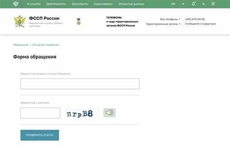 Код проверки статуса обращения в мвд как узнать
