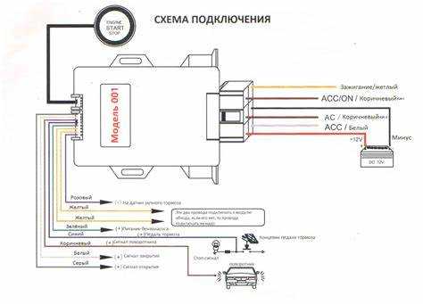 Выбор подходящего места для монтажа сигнала улитки