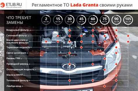 Сколько гарантия на ладу гранту