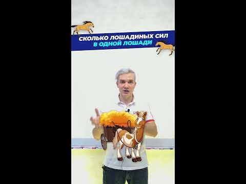 Методы измерения мощности мышц у диких животных на примере кабана