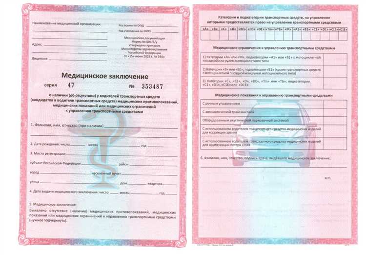 Сколько времени занимает получение справки 003 о/у