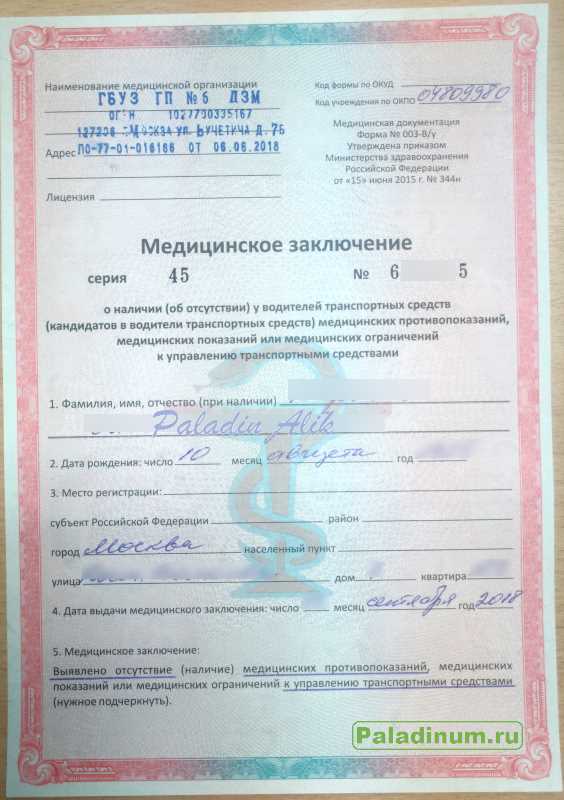 Справка 003 о у где получить