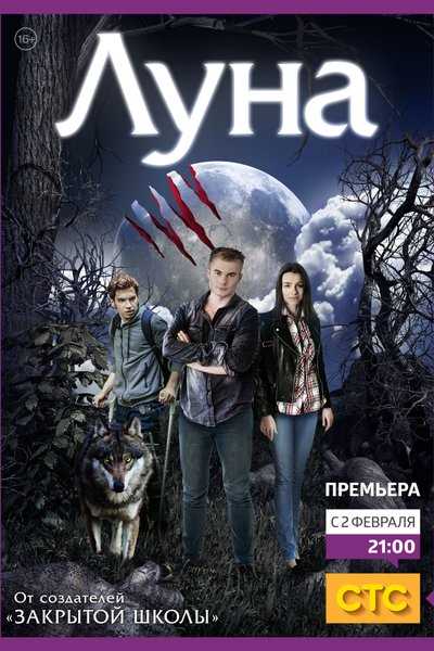 Где узнать организацию, выдавшую Стс