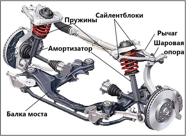Значение шасси в классификации основного компонента