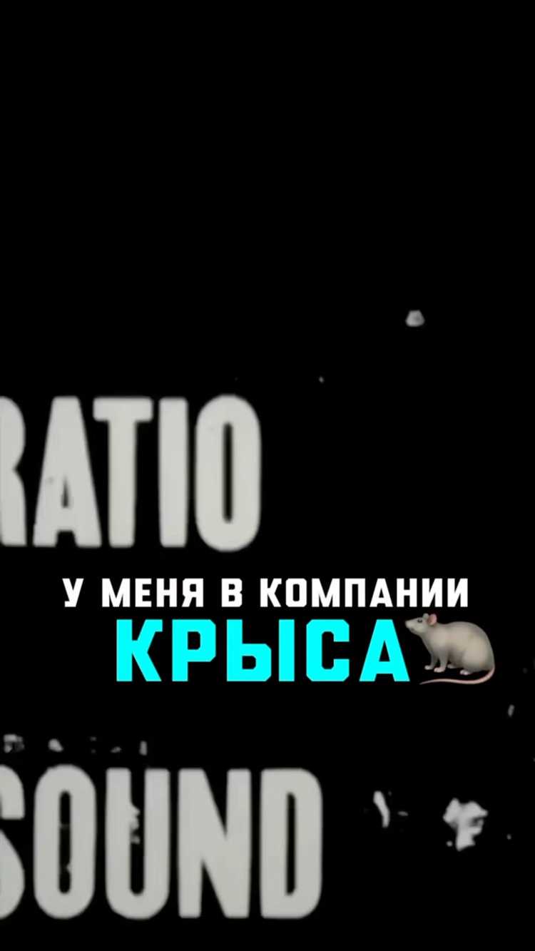 Как вычислить крысу в коллективе