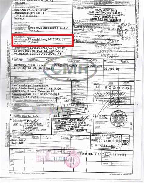 Чем отличается одиночка от наёмного водителя и транспортной компании
