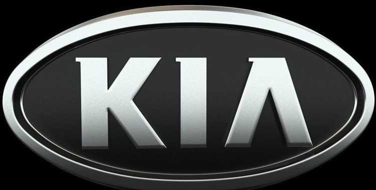 Особенности размещения кодовой таблички на различных поколениях Kia Rio