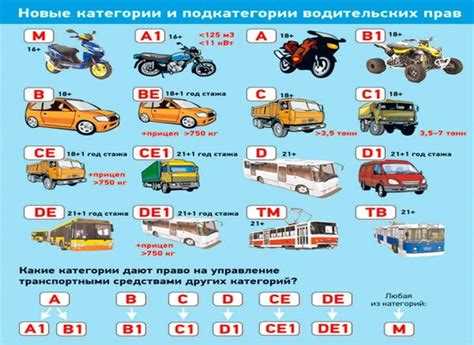 Возрастные и физические ограничения для водителей категории А1