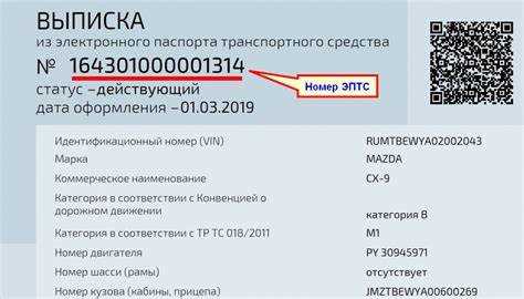 Как выглядит заводской номер в ПТС и по каким признакам его узнать