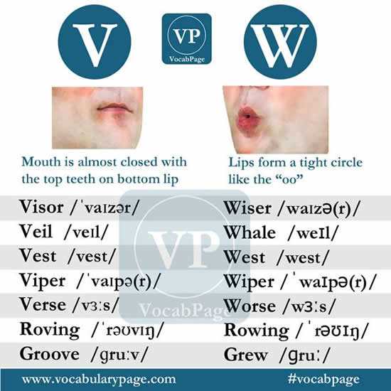 Чем отличается v от w