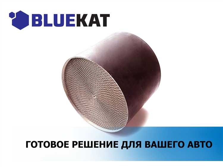 Что мешает самостоятельному доступу к катализатору
