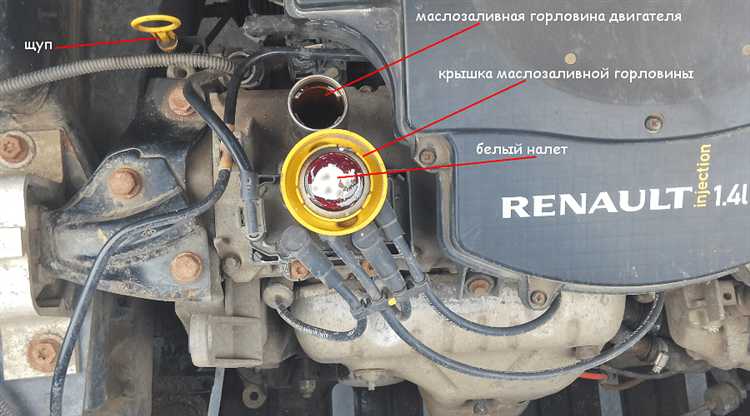 Официальное название и распространённые синонимы крышки