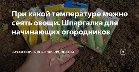 При какой температуре можно замерзнуть