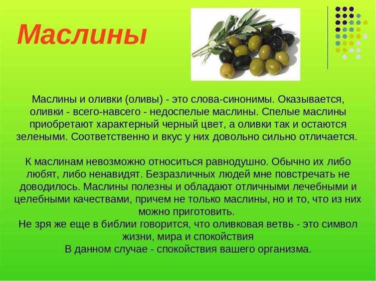 Состав и назначение битумной мастики