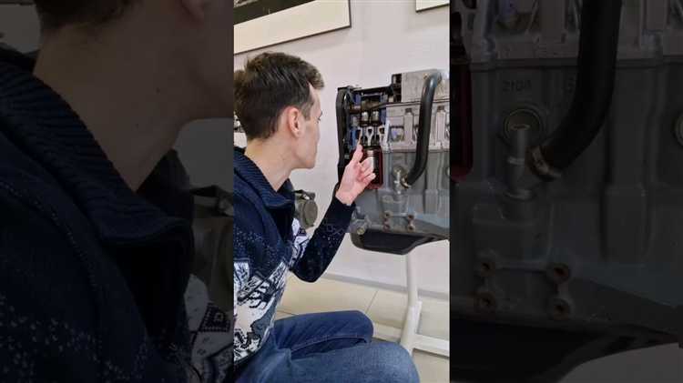 Чем отличается восьмиклоп от шеснаря