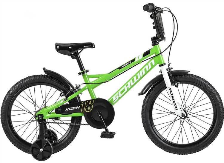 Особенности покупки Schwinn Aerostar в интернет-магазинах с доставкой