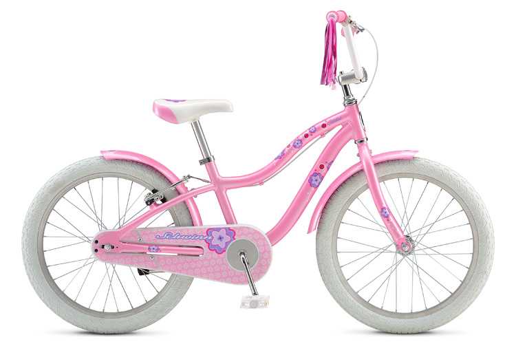 Роль локальных веломагазинов в наличии Schwinn Aerostar и способы проверки