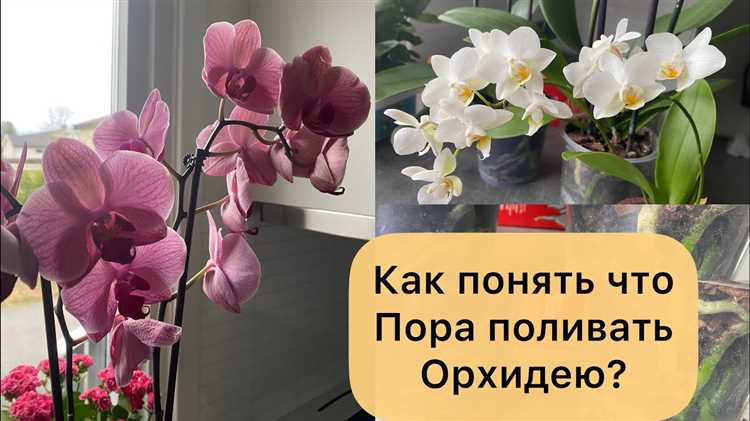 Что происходит с высокими частотами при выходе твитера из строя