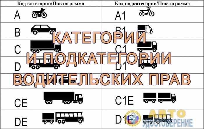 Какая категория прав подходит для езды на электросамокате