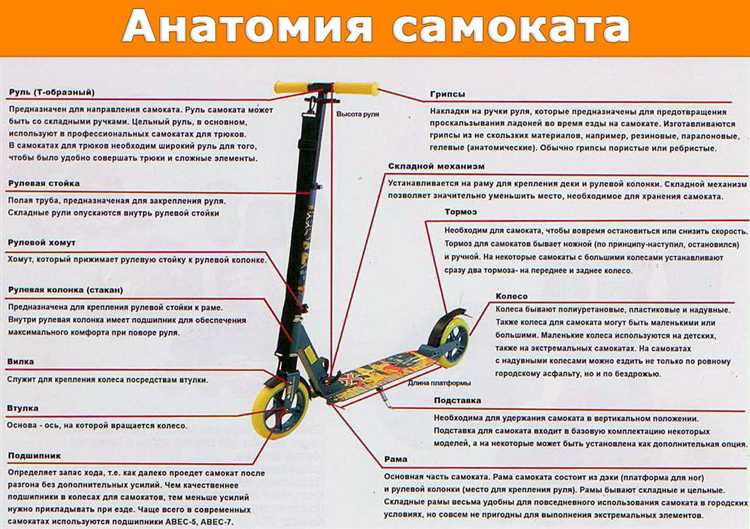 Нужны ли права для управления таким самокатом
