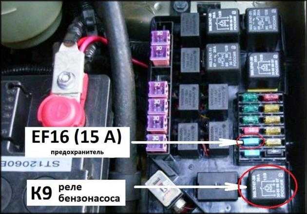 165906381 реле за что отвечает