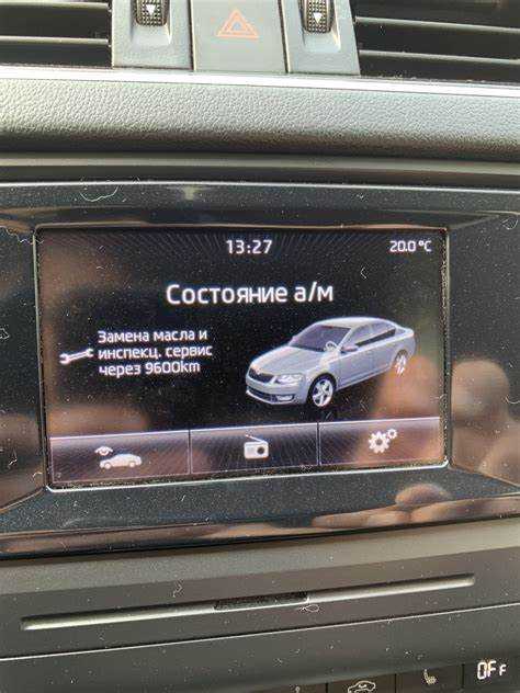 Инспекционный сервис шкода что это