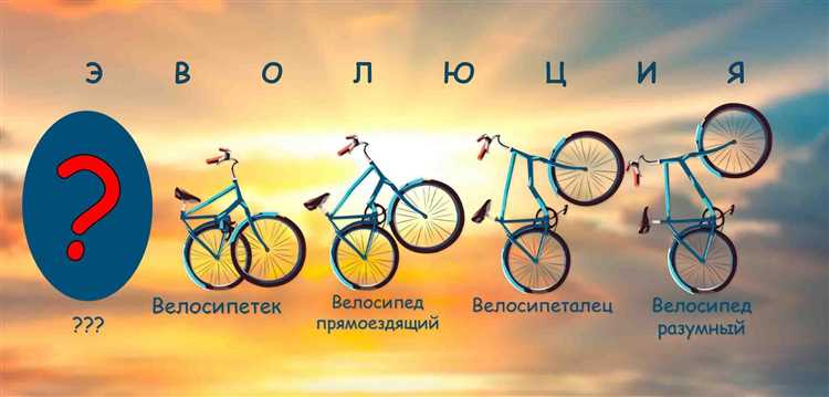 Как узнать год выпуска велосипеда