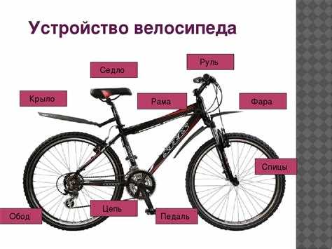 Какая краткая форма у слова велосипед